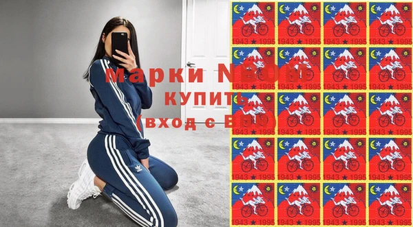 хмурый Белокуриха